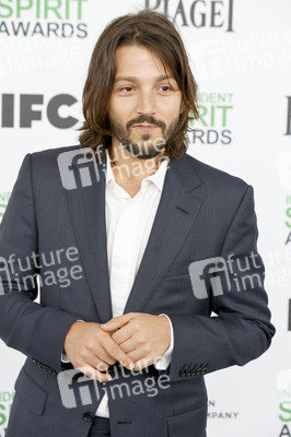 Independent Spirit Awards 2014, Santa Monica