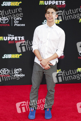 Disney's 'Muppets Most Wanted' Premiere, Los Angeles
