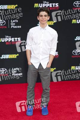 Disney's 'Muppets Most Wanted' Premiere, Los Angeles