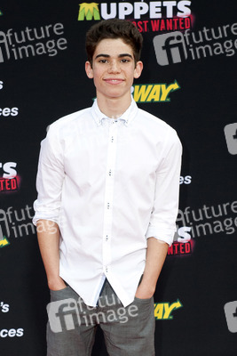 Disney's 'Muppets Most Wanted' Premiere, Los Angeles