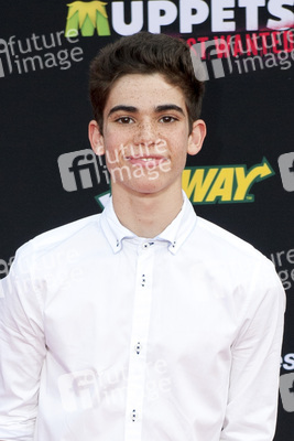 Disney's 'Muppets Most Wanted' Premiere, Los Angeles