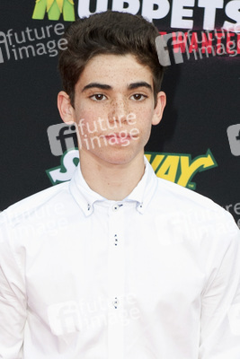 Disney's 'Muppets Most Wanted' Premiere, Los Angeles