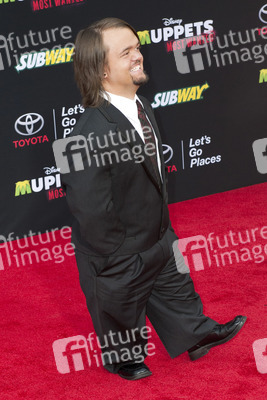 Disney's 'Muppets Most Wanted' Premiere, Los Angeles