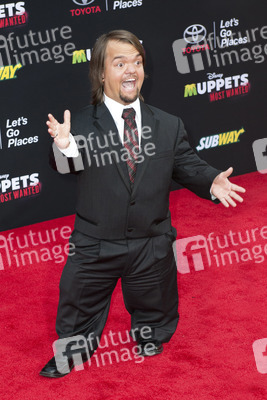 Disney's 'Muppets Most Wanted' Premiere, Los Angeles