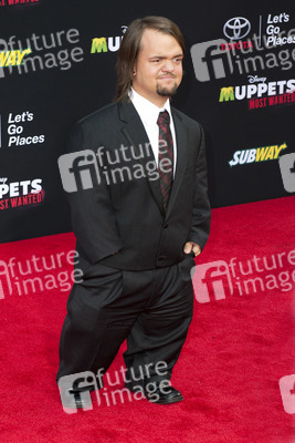 Disney's 'Muppets Most Wanted' Premiere, Los Angeles