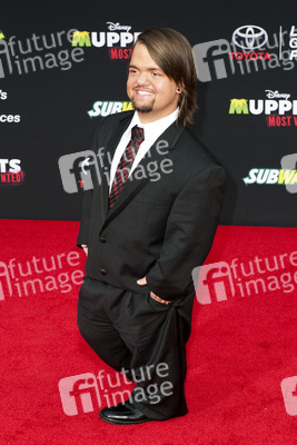 Disney's 'Muppets Most Wanted' Premiere, Los Angeles