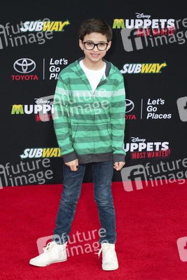 Disney's 'Muppets Most Wanted' Premiere, Los Angeles