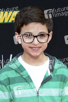 Disney's 'Muppets Most Wanted' Premiere, Los Angeles