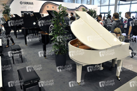 Yamaha, Flügel