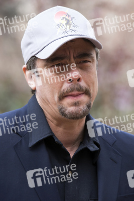'A Perfect Day' Photocall, Madrid