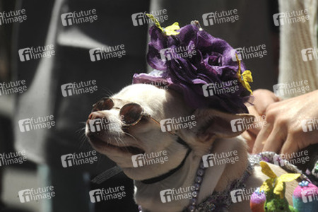 Easter Parade auf der 5th Avenue, New York
