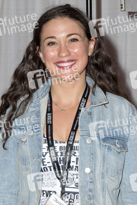 WonderCon 2014, Anaheim