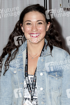 WonderCon 2014, Anaheim