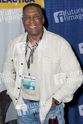 WonderCon 2014, Anaheim