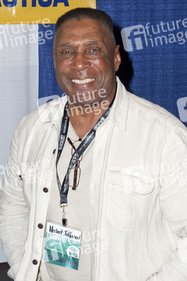 WonderCon 2014, Anaheim