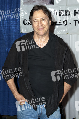WonderCon 2014, Anaheim