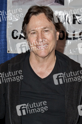 WonderCon 2014, Anaheim