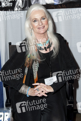 WonderCon 2014, Anaheim