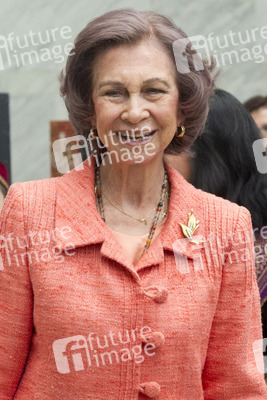 International Association of Diplomats in Spain Charity Kermes Inauguration, Madrid