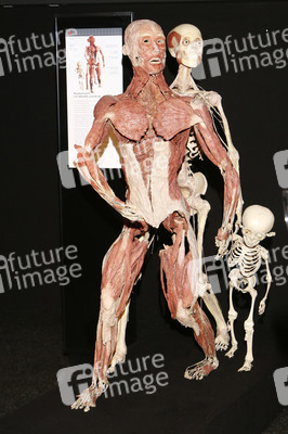 'Körperwelten - Eine Herzenssache' Pressekonferenz, Hamburg