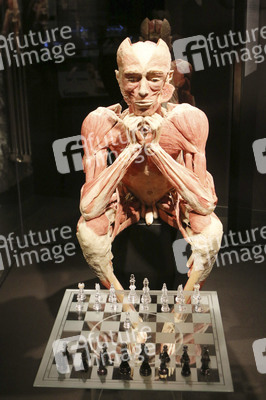 'Körperwelten - Eine Herzenssache' Pressekonferenz, Hamburg