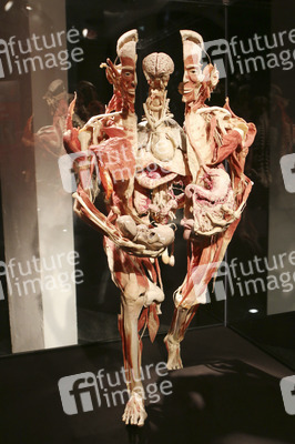 'Körperwelten - Eine Herzenssache' Pressekonferenz, Hamburg