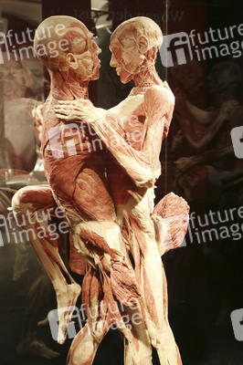 'Körperwelten - Eine Herzenssache' Pressekonferenz, Hamburg