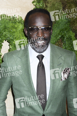 Museum Of Modern Art's 2014 Party In The Garden, New York