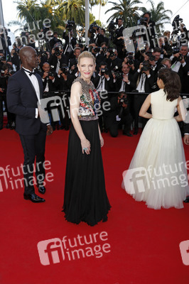 'Drachenzähmen leicht gemacht 2' Premiere, Cannes Film Festival 2014