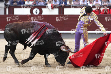 San Isidro Stierkampf Messe, Madrid