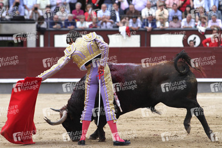 San Isidro Stierkampf Messe, Madrid