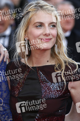 'The Homesman' Premiere, Cannes Film Festival 2014