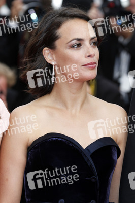 'The Search' Premiere, Cannes Film Festival 2014