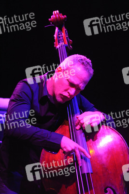 Elbjazz Festival 2014, Hamburg