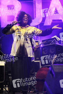 Elbjazz Festival 2014, Hamburg