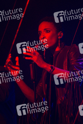 Marius Müller-Westernhagen Konzert, Berlin