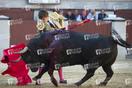 San Isidro Stierkampf Messe, Madrid