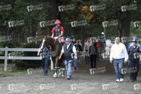 California Chrome bei den Belmont Stakes 2014, Elmont