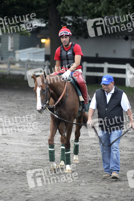 California Chrome bei den Belmont Stakes 2014, Elmont