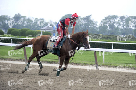 California Chrome bei den Belmont Stakes 2014, Elmont