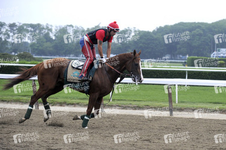 California Chrome bei den Belmont Stakes 2014, Elmont