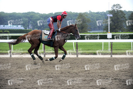California Chrome bei den Belmont Stakes 2014, Elmont