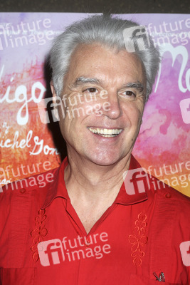 'Der Schaum der Tage' Premiere, New York