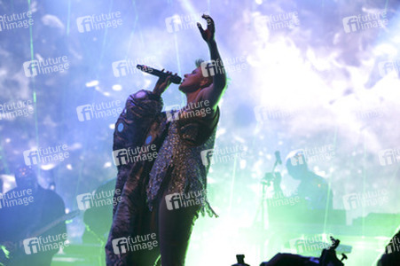 Melt! Festival 2014, Gräfenhainichen