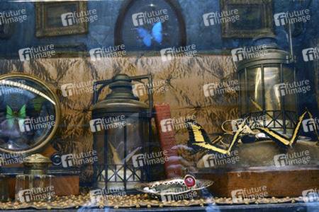 'Crimson Peak' Ausstellung, San Diego Comic Con