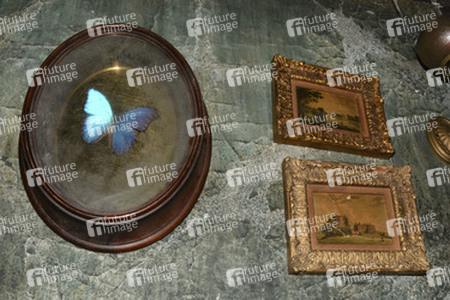 'Crimson Peak' Ausstellung, San Diego Comic Con