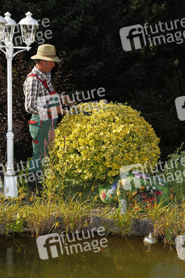Gärtner / Gardener Badypainting
