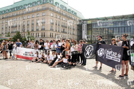 Protest für die Abschaffung der Pferdekutschen in Berlin