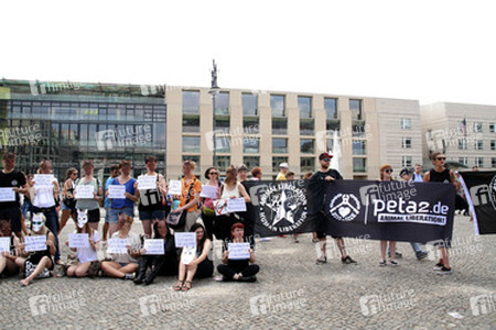 Protest für die Abschaffung der Pferdekutschen in Berlin
