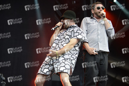 Highfield Festival 2014, Großpösna